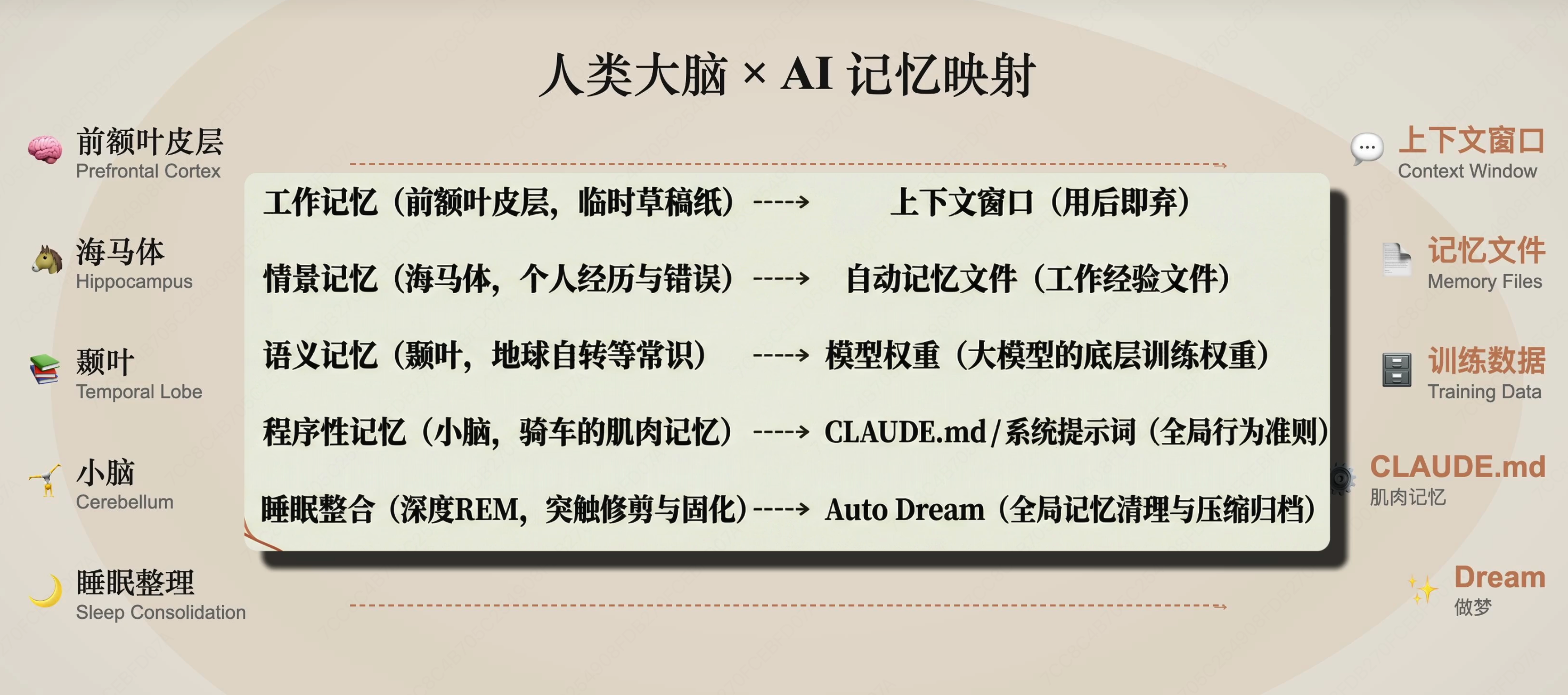 人类记忆机制与 AI 系统的映射：上下文、记忆文件、模型权重、系统提示词和 Auto Dream